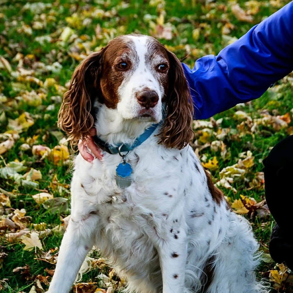 Meet your Posher, April